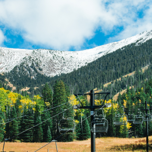 Arizona_Snowball_Flagstaff