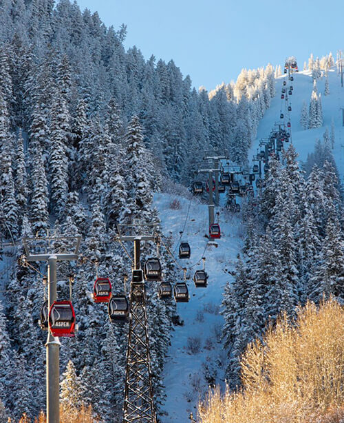 Aspen Winter