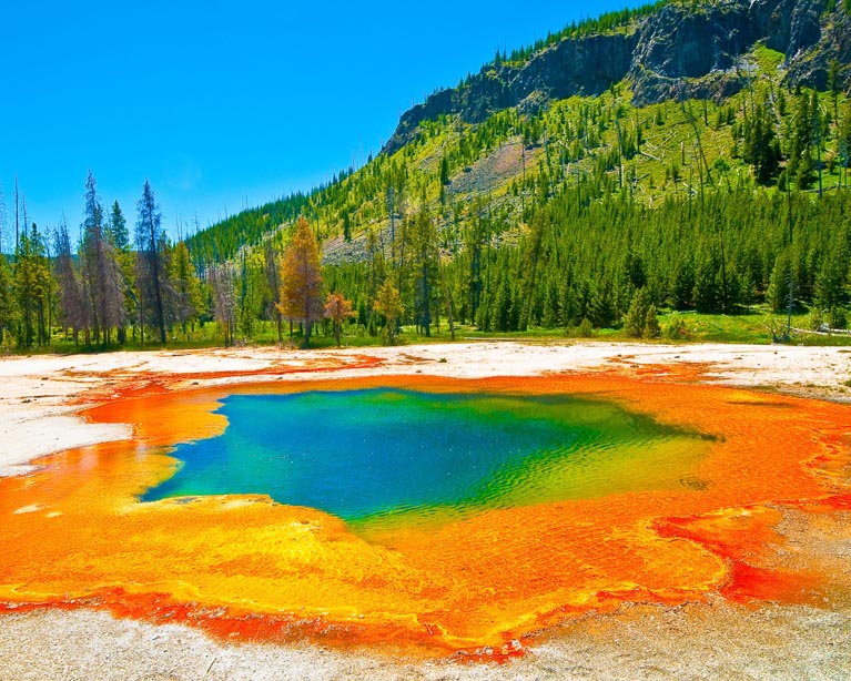 Yellowstone National Park (2)