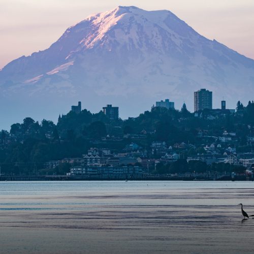 tacoma with a mt. rainier backdrop