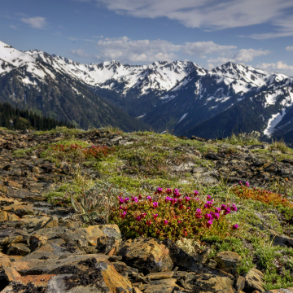 9 Days The Ultimate Pacific Northwest Road Trip