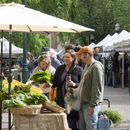 mktg-20190518-farmers-market-113-500x500